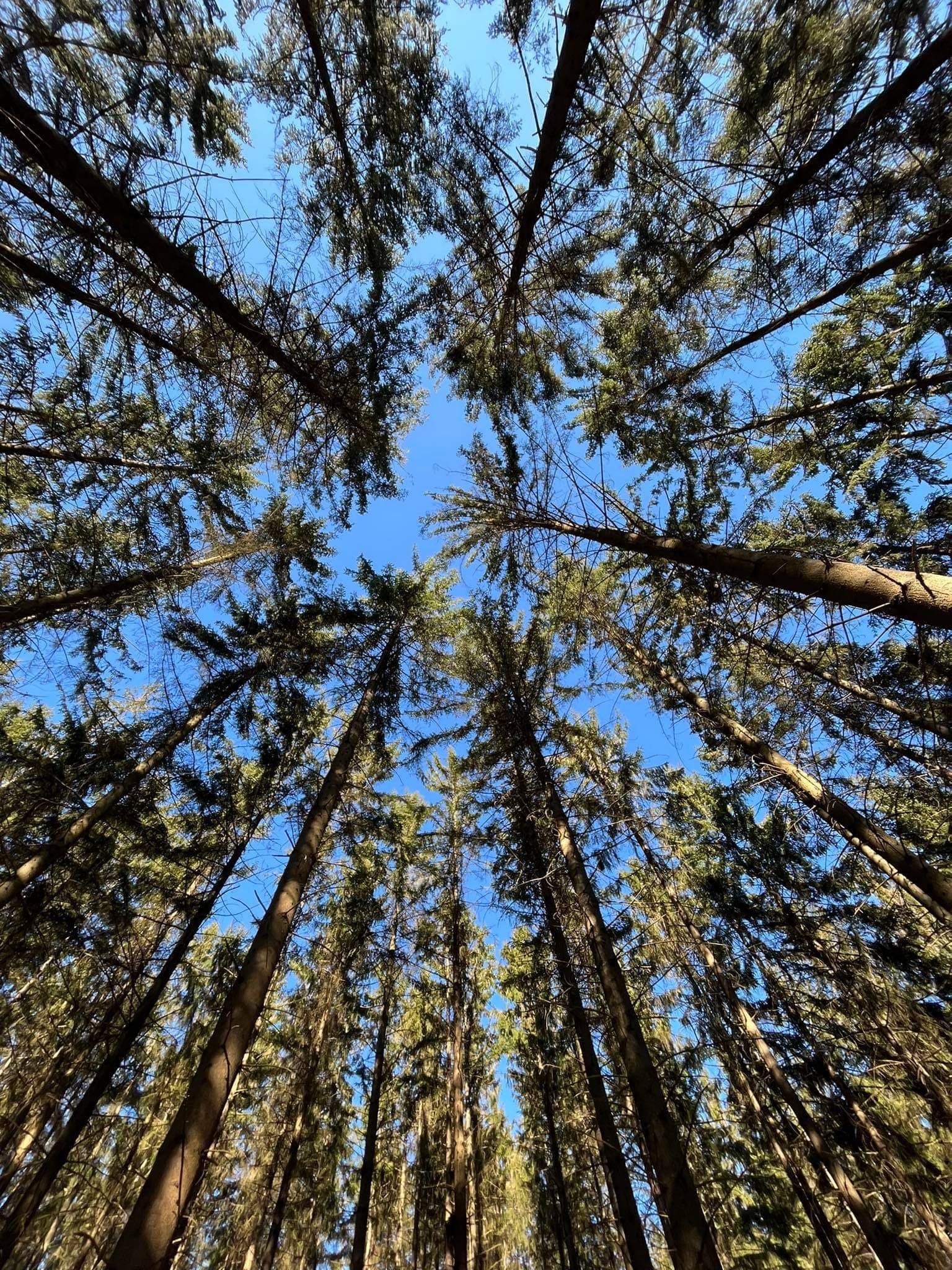 Mais qu'est ce que le Pré des Secrets